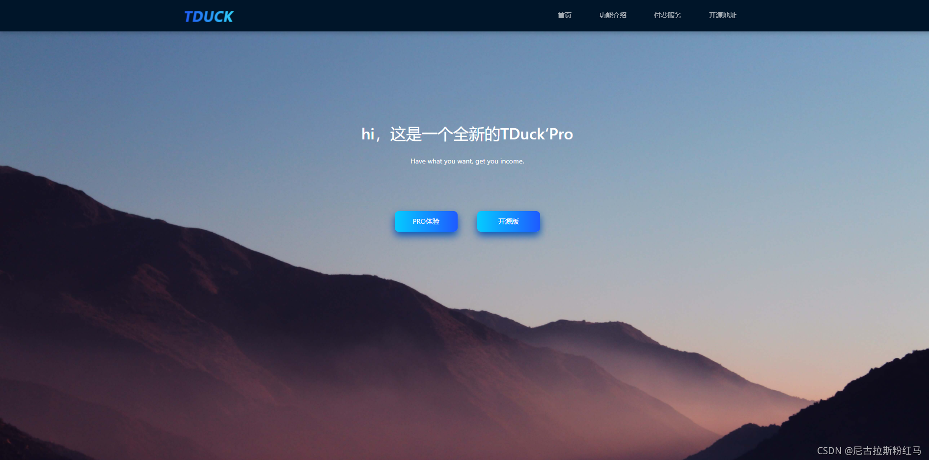 开源表单系统Tduck填鸭部署教程